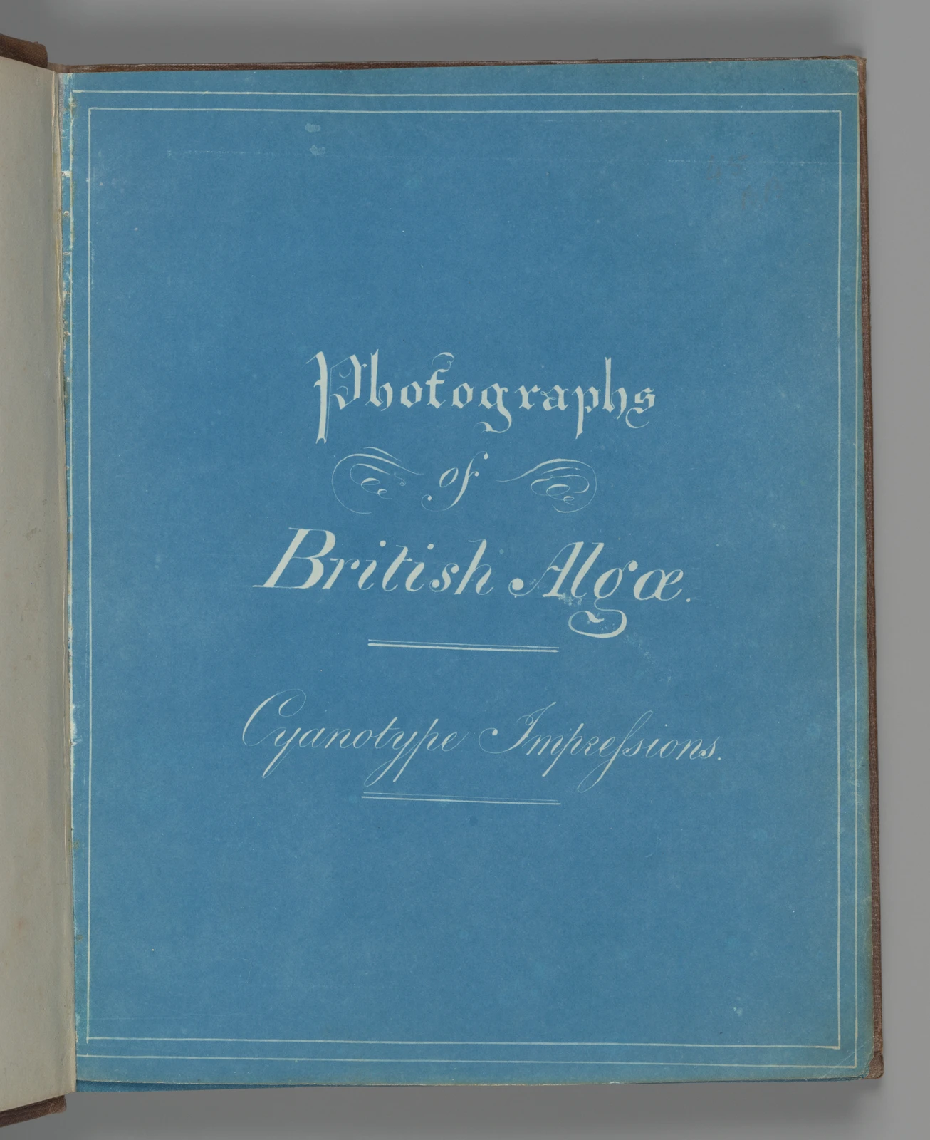 青いページに白い文字でPhotographs of British Algaeと記された青写真の扉